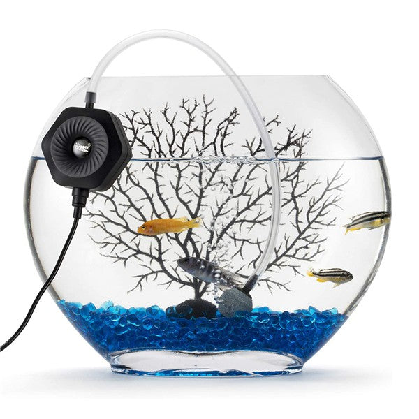 hygger Mini Aquarium Air Pump Kit Small Fish Tank Air Pump 1W for 5-20  Gallon Fish Bowl with Air Tube Air Bubbler Stone Check Valve
